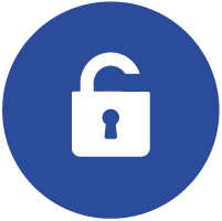 Vulnerability Management Detection and Response Solutions Icon