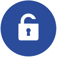 Vulnerability Management Detection and Response Solutions Icon